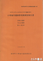 小栗地内遺跡群発掘調査報告書　丑塚古墳群・寺山古墳群・裏山遺跡