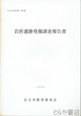 岩折遺跡発掘調査報告書