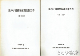 鹿の子遺跡発掘調査報告書　第１次・第３次