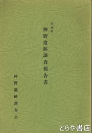 神野遺跡調査報告書