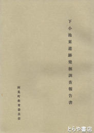 下小池東遺跡発掘調査報告書