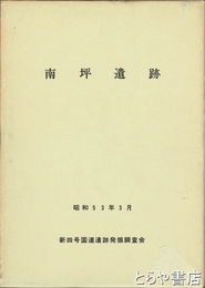 南坪遺跡　シケあり