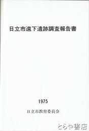 日立市遠下遺跡調査報告書