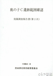 鹿の子Ｃ遺跡範囲確認　発掘調査報告書（第二次）