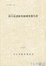 西大塚遺跡発掘調査報告書　全３冊　城内　館野