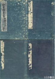 皇朝史略　正編・続編揃（正編３・４巻合本）　全９冊