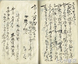 御用留　水戸上市の戸長文書