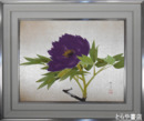 木本大果画額　「牡丹」