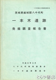 一本木遺跡発掘調査報告書　茨城県結城郡八千代町
