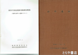 南坪遺跡　別冊「新四号国道遺跡発掘調査概報」付