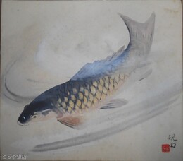 郡司硯田色紙　「游鯉之図」