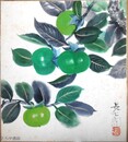 広原長七郎色紙　柿（青柿）
