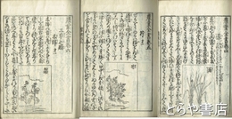 農業全書　４～６巻