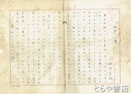 小林登美枝草稿　「淑女」への道