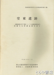 堂東遺跡　茨城県教育財団文化財調査報告２１３
