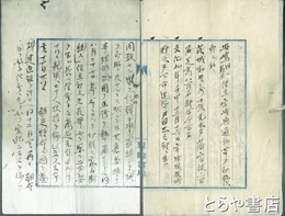 安島帯刀事蹟（仮題）