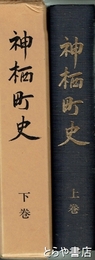 神栖町史　上・下
