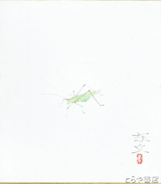 海老沢東丘色紙　きりぎりす