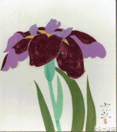 海老沢東丘色紙　「菖蒲」