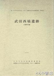 武田西塙遺跡　古墳時代編