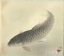 郡司硯田色紙　「鯉」共袋