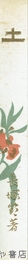 土　復刻版