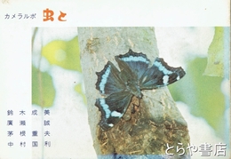 虫と　カメラルポ