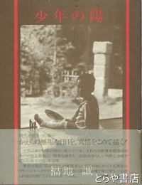 少年の陽