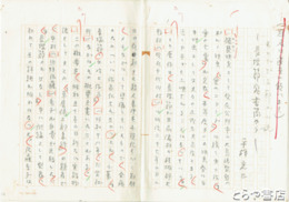 平輪光三草稿　「書かれざる節の小説」