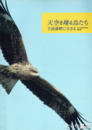 天空を翔る鳥たち　千波湖畔に生きる