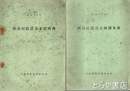 出島村建設基礎調査書・実施計画書・基本計画書　出島村條例を付す