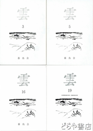 雲　３・５・１３・１６・１９