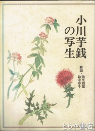 小川芋銭の写生