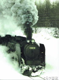 疾風怒濤の時代　ハドソン驀進！　写真と映像で綴る鉄道史！