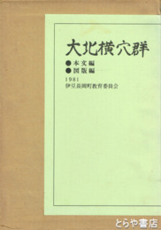 大北横穴群　本文編・図版編