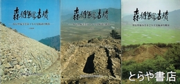 森将軍塚古墳　２～４　保存整備事業発掘調査概報２年次・３年次・４年次
