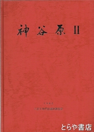 神谷原２　東京都八王子市椚田遺跡群の調査