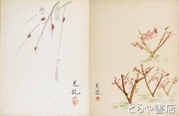 中村芝翫大色紙　花　