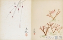 中村芝翫大色紙　花　