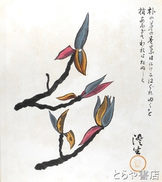 川上澄生肉筆色紙「朴の花」　画賛入　彩色画