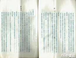 大日本航空船製作所設立趣旨　「東洋航空輸送株式会社創立趣意書・目論見書」４０丁を付す