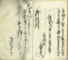 五人組御仕置帳　弘化５年