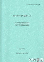 渋川市市内遺跡１２　渋川市埋蔵文化財発掘調査報告書４２集