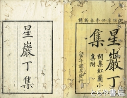 星巌集　丁集一之四　革