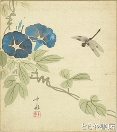 荒木十畝色紙　とんぼと朝顔