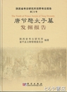 唐節愍太子墓発掘報告　陝西省考古研究所田野考古報告２８号