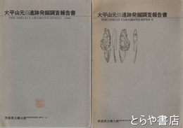 大平山元Ⅱ遺跡発掘調査報告書・大平山元Ⅲ遺跡発掘調査報告書　青森県立郷土館調査報告書８集・１１集