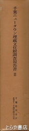 千葉ニュータウン埋蔵文化財調査報告書２　本文編・図録