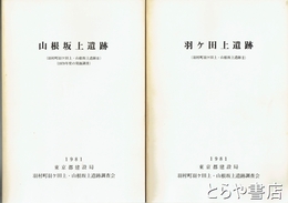 羽根村羽根ヶ田上・山根坂上遺跡　Ⅱ・Ⅲ・Ⅳ