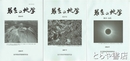 岩手の地学　３５・３６号（合併号）／３７号／５０号　